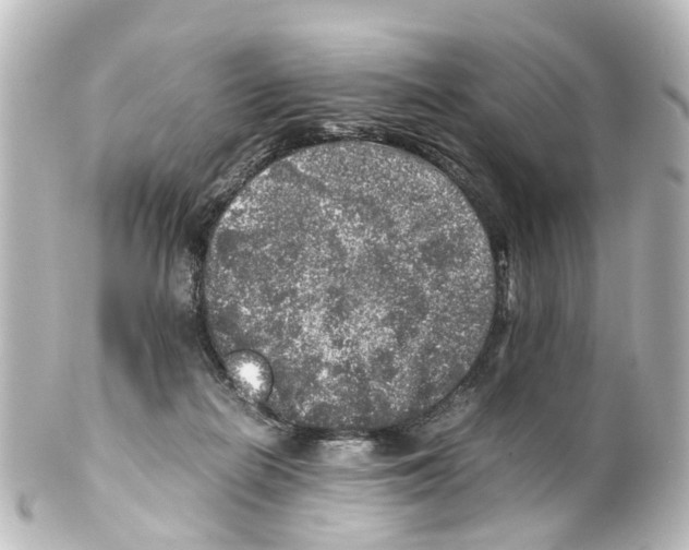 X0000100230266200806271756