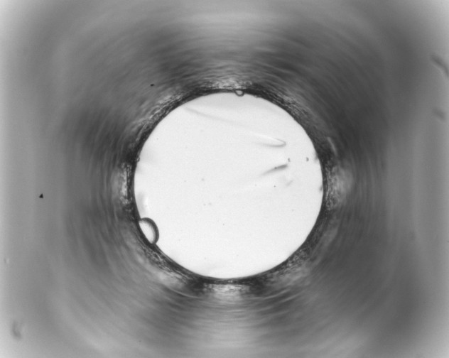 X0000100230268200806271757