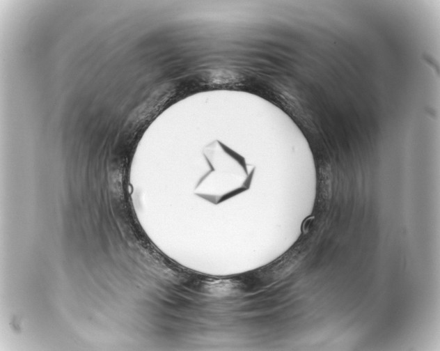 X0000100230269200806271757