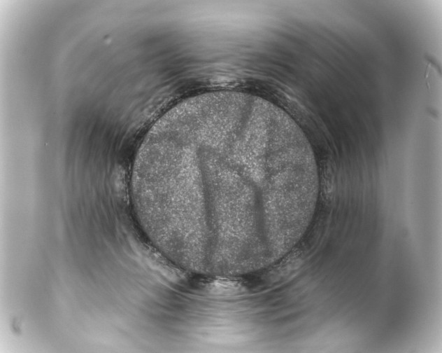 X0000100230270200806271757