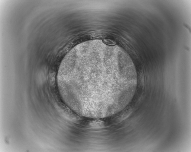 X0000100230271200806271757