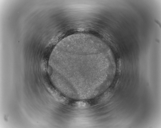 X0000100230272200806271757