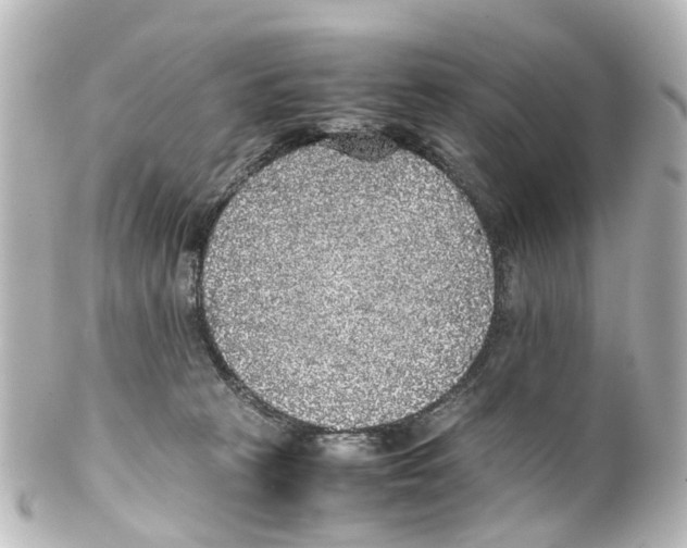 X0000100230273200806271757