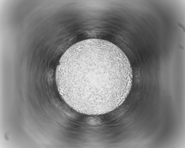 X0000100230275200806271757