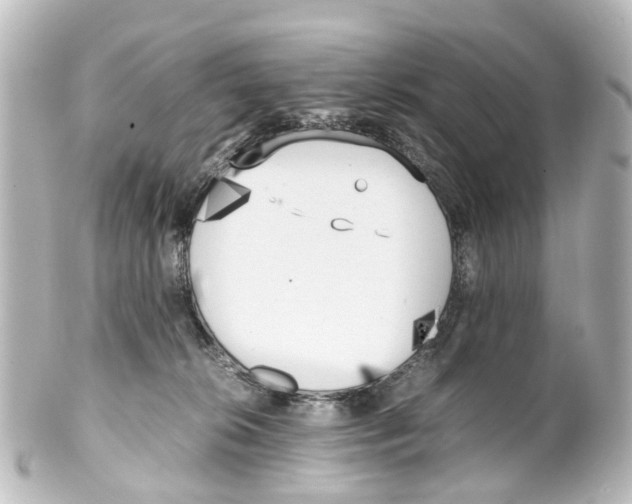 X0000100230276200806271757