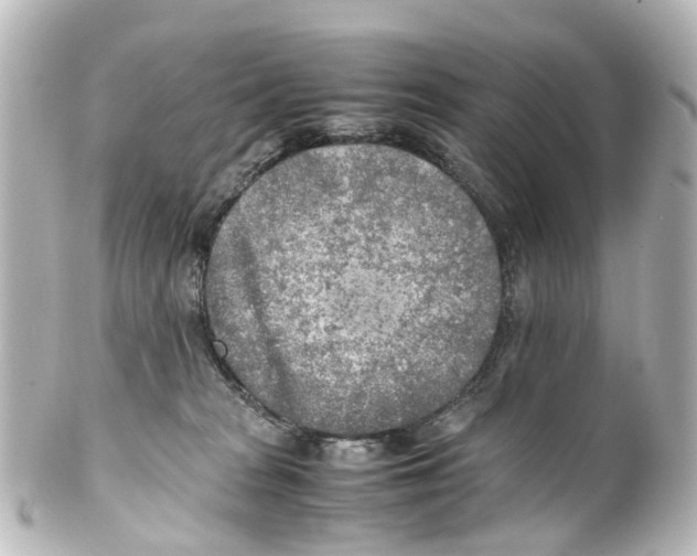 X0000100230277200806271757