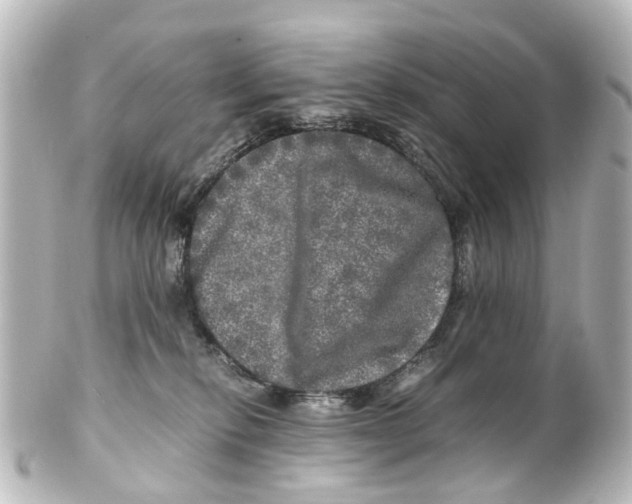 X0000100230278200806271757