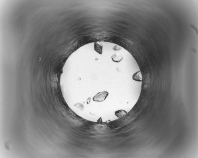 X0000100230279200806271757