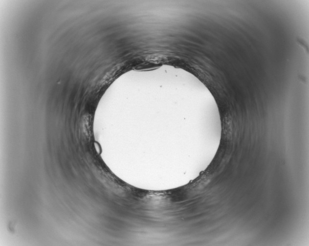 X0000100230280200806271757