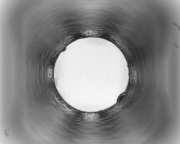 X0000100230281200806271757