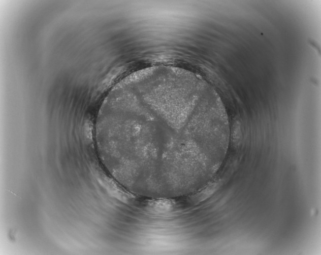 X0000100230282200806271757