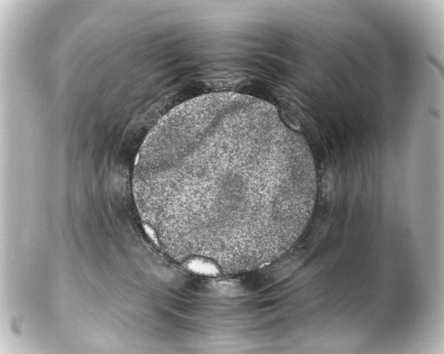 X0000100230283200806271757
