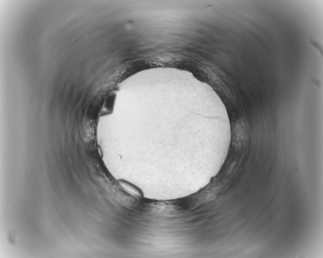 X0000100230284200806271757