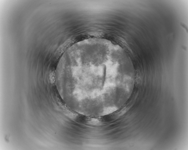 X0000100230285200806271757