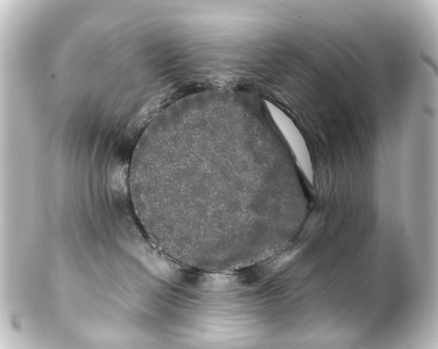 X0000100230286200806271757