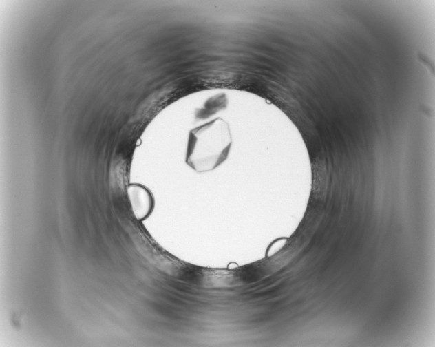 X0000100230287200806271757