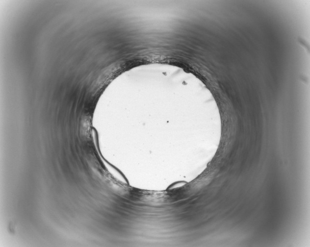 X0000100230288200806271757