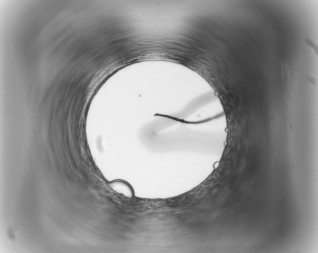 X0000100230289200806271756