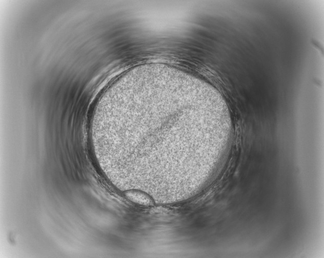 X0000100230290200806271756
