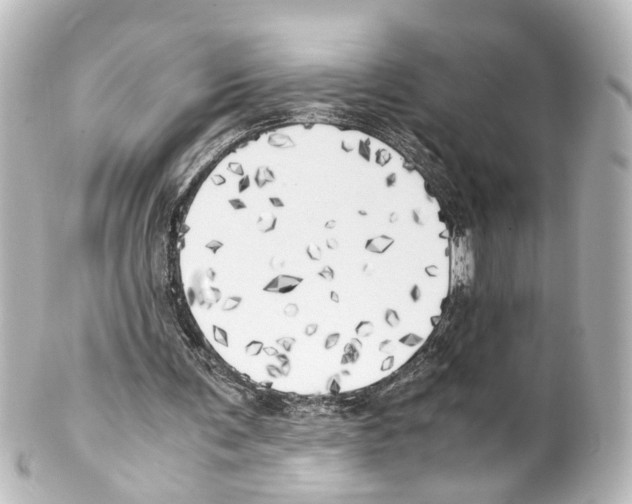 X0000100230291200806271756