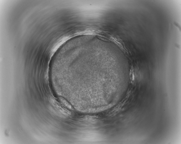 X0000100230292200806271756