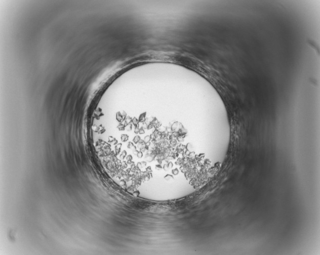 X0000100230294200806271756