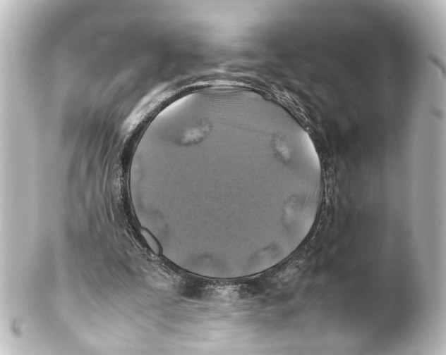 X0000100230295200806271756