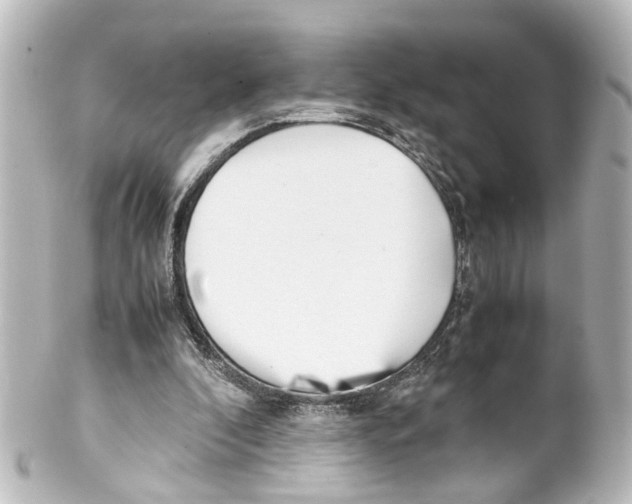 X0000100230296200806271756