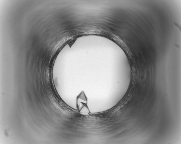 X0000100230298200806271756