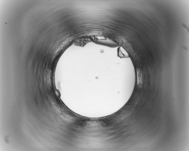 X0000100230300200806271756
