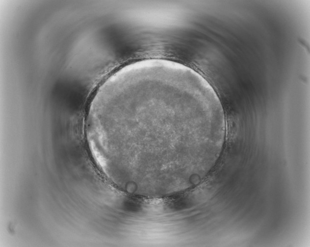 X0000100230301200806271756