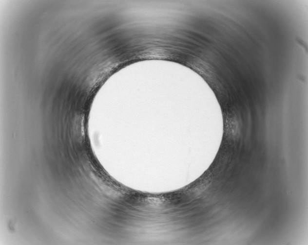 X0000100230302200806271756