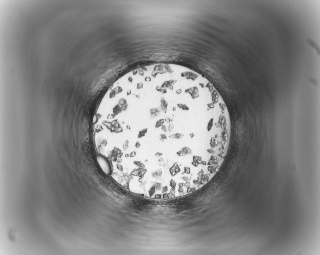 X0000100230303200806271756