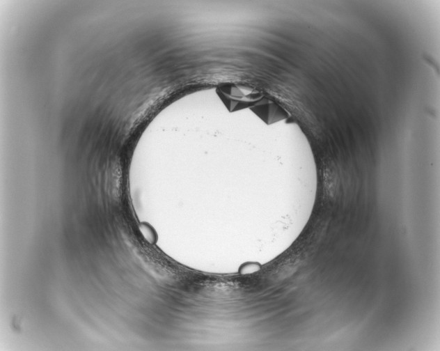 X0000100230304200806271756