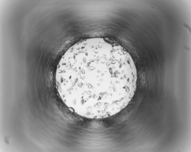 X0000100230308200806271756