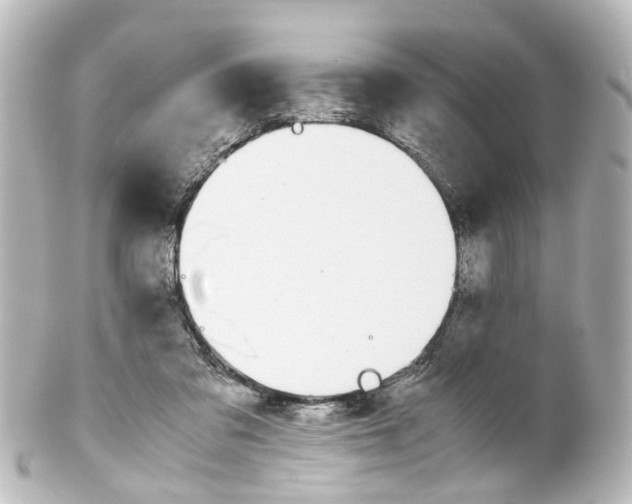 X0000100230309200806271756