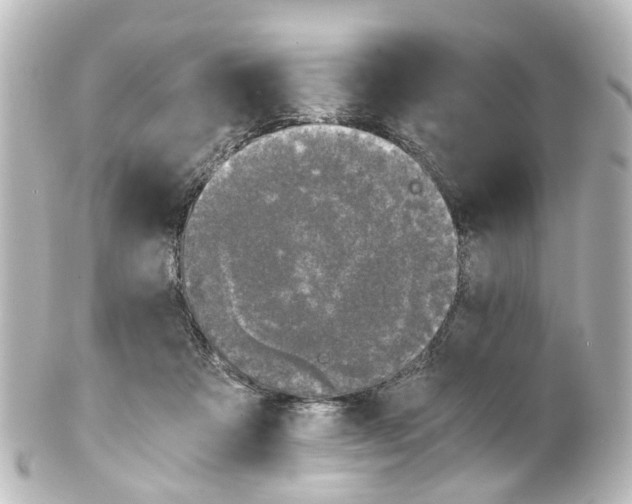 X0000100230313200806271756