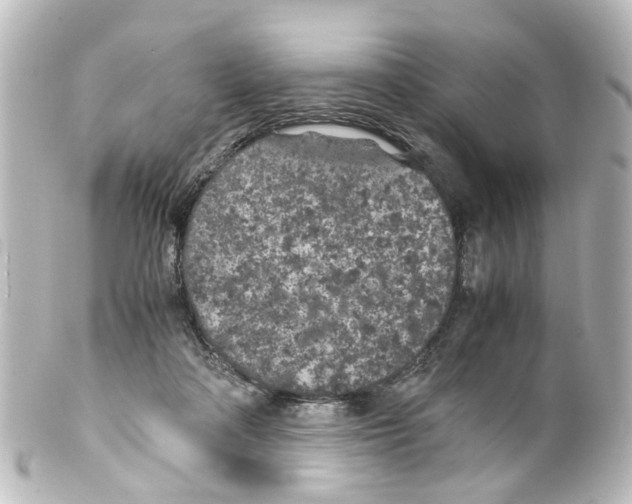 X0000100230314200806271756
