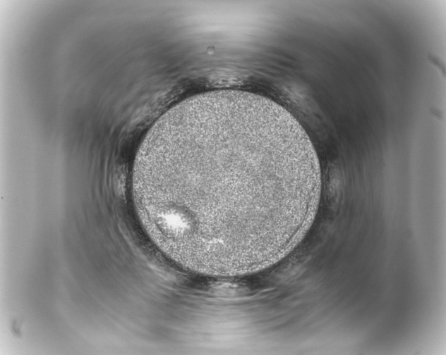 X0000100230315200806271756
