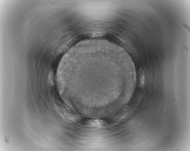 X0000100230316200806271756