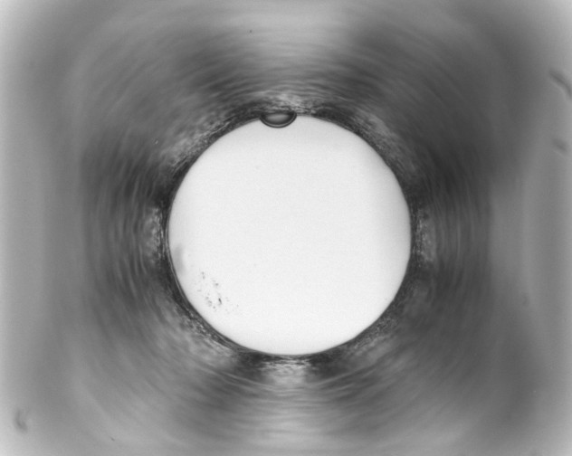X0000100230318200806271756