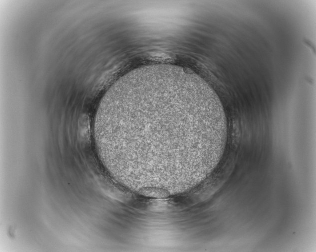 X0000100230320200806271756