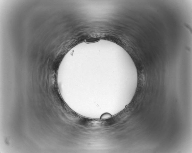 X0000100230323200806271756