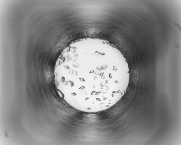 X0000100230324200806271756