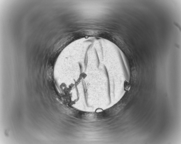 X0000100230325200806271756