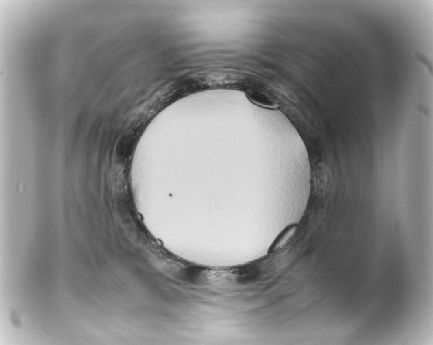 X0000100230327200806271756