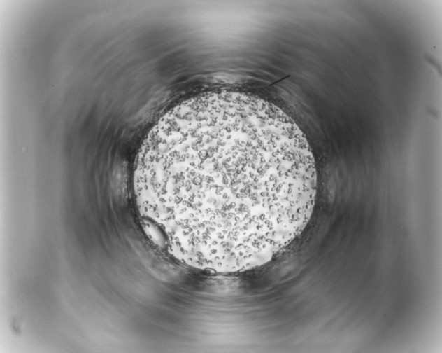 X0000100230328200806271756