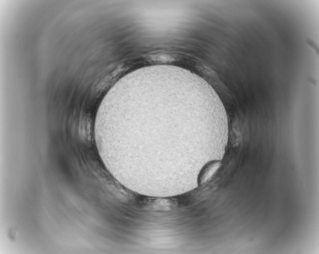 X0000100230330200806271756