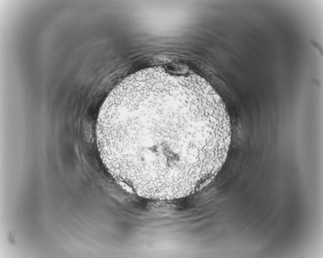 X0000100230331200806271756