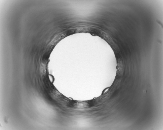 X0000100230333200806271756